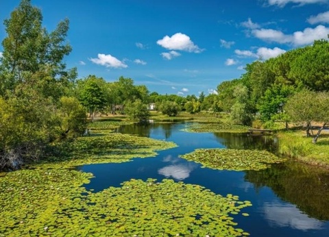 Camping L'Orée Du Bois, 4* - 50