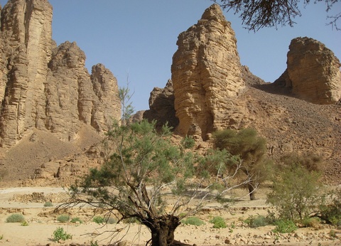 Circuit Le Tassii N'Ajjer et l'infinie beauté du Sahara - 9