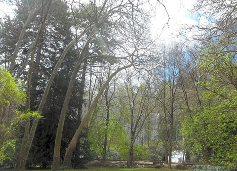 Camping Lago Resort - 24