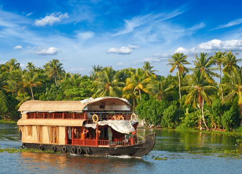 Circuit Merveilles du Kerala en Privatif - 4