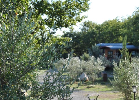 Domaine Saint Cerice, 1* - 44