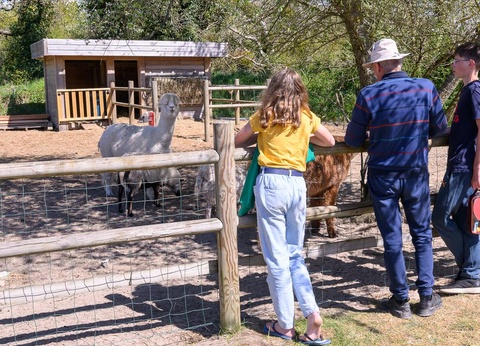 Camping Les Carolins, 3* - 71