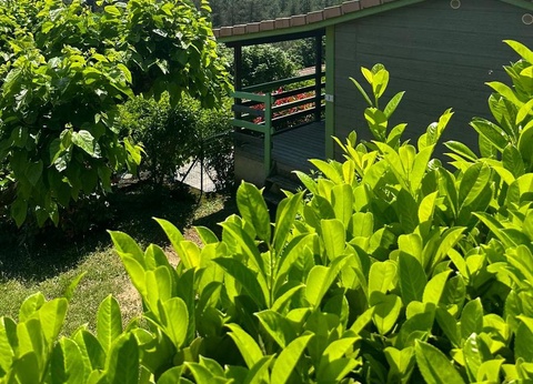 Camping Ushuaïa Village Les Pins d'Ucel 4* - 14