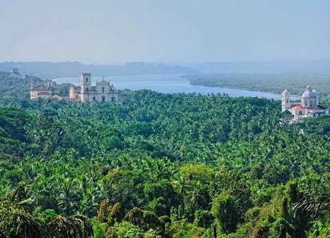 Temples et épices + Karnataka / Goa - Inde du Sud - 14