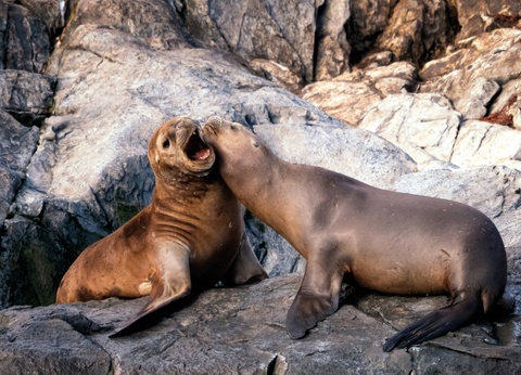 Circuit Le grand tour argentin : des Andes à la Terre de Feu - 12