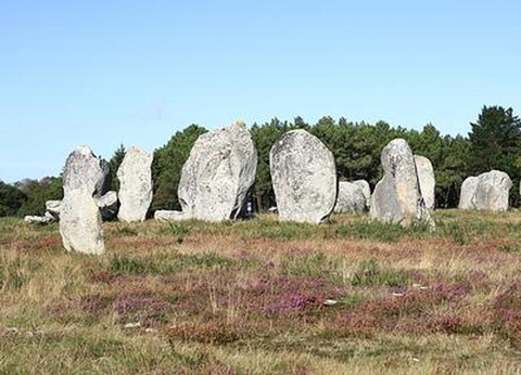 Camping Entre Terre et Mer, 3* - 51