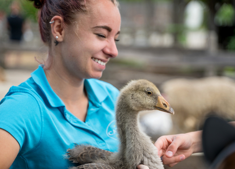 Camping Paradis La Grand'Métairie 4* - 15