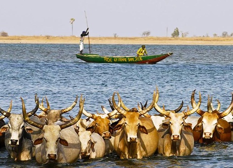 Balade Sénégalaise 3* - 3