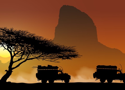 L'Afrique du Sud Intimiste, Chutes Victoria & Parc Chobe - 17J/14N Limité à 16 pers. (sauf sur la partie Victoria et Chobe) - Dès le 07/04/25 - Vols Long Courrier Air France - 11