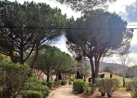 Camping Hameau des Pins 3* - 21