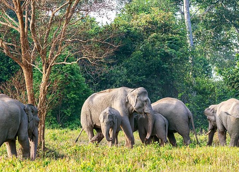 Trésors authentiques du Siam 4* & séjour Ôclub Select Barcelo Coconut Island 5* - 12