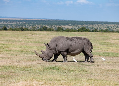 Circuit Le Kenya Autrement et safaris - 5