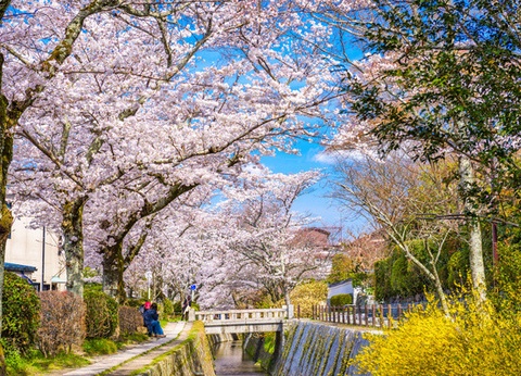 Circuit Sensations du Japon authentique - 4