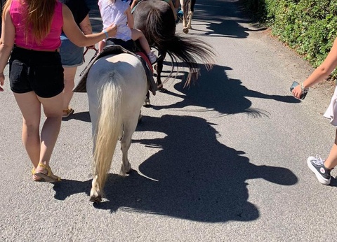 Camping L'Etang du Pays Blanc, 4* - 24