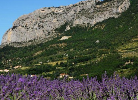 Camping Les Princes D'Orange - Ciela Village, 4* - 41