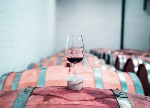 Circuit Aventures Australes, de l'Afrique du Sud au Botswana - 18