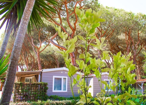 Gitavillage Il Gabbiano - 23