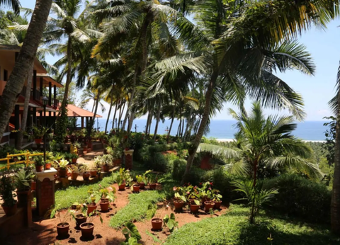 Séjours Ayurveda - Shinshiva Ayurvedashram - 8