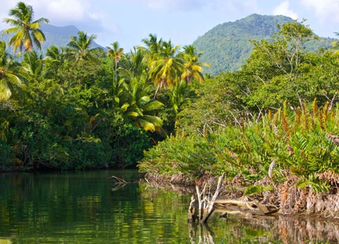 Croisière Cocktail Nature aux Antilles ***** - 13