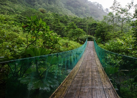 Circuit Costa Rica authentique : trek entre forêts et volcans - 10