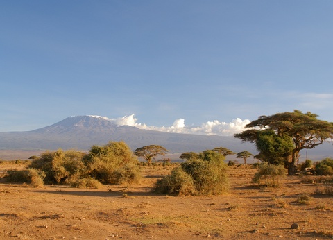 Safari Féeries d'Afrique - 6