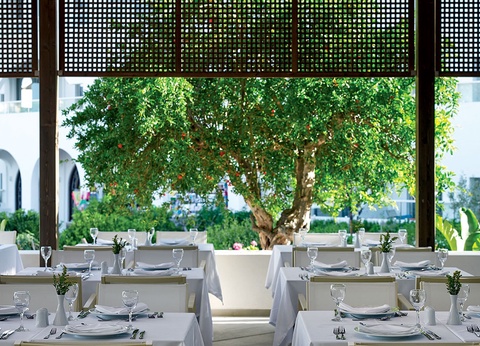 Hôtel Atlantica Akti Zeus 4* - 10