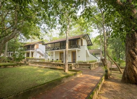 Circuit Carpe Diem au Sri Lanka - 8