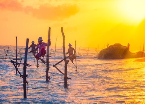 Circuit Splendeurs Insolites de Ceylan - 28