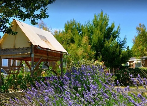 Domaine de la Palme, 3* - 6