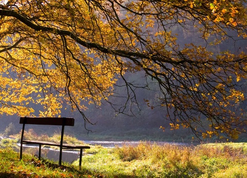 SR: Weekend relaxant aux thermes de Spa - 4* - 18