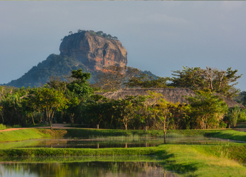 Circuit Soleil et Sérénité au Sri Lanka 4* - 20