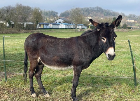 Camping Les Naïades, 3* - 23