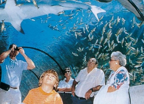 Camping Sites et Paysages - Les Pinèdes, 4* - 67