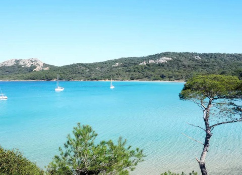 Flower Camping Les Tomasses, 4* - 35