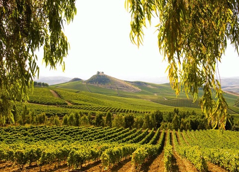 Ôclub Experience Costa Verde Water Park & Spa 4* - 15