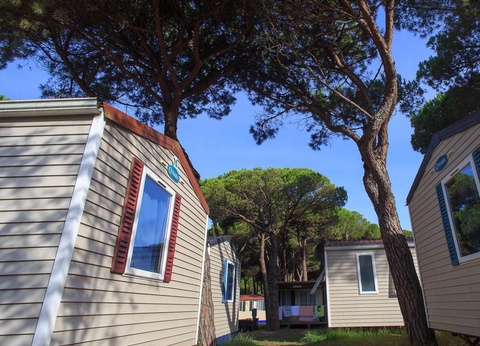 Camping Pineta sul Mare, 3* - 104
