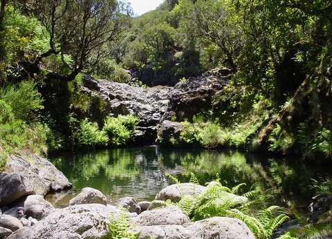Circuit Echappée Sentiers de Madère depuis l'hôtel Cabo Girão 4* - 4