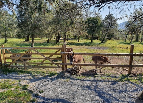 Domaine Saint Cerice, 1* - 91