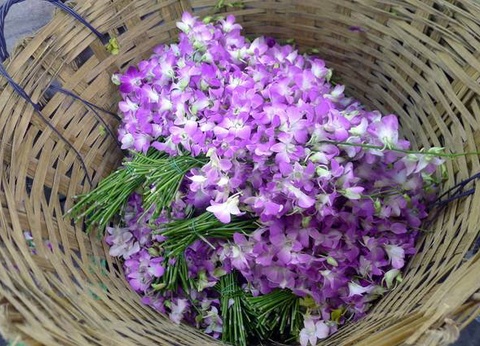 Thailande Essentielle - 4