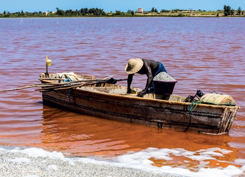 Le Sénégal, des dunes du Dakar au delta du Saloum - 8