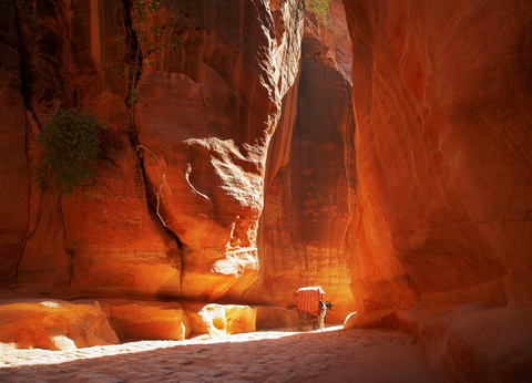 Circuit Sur la route des Rois : rando et vélo en Jordanie - 12