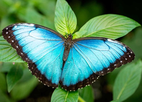 Circuit Découverte et aventure au Costa Rica - 16