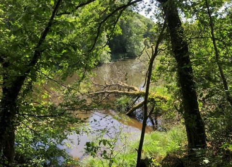 Camping Ty Nenez, 3* - 67