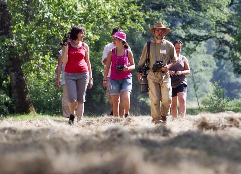 Camping Les Gorges Du Chambon - Ciela Village, 4* - 55