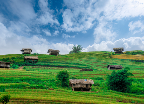 Circuit Vietnam Insolite - 4