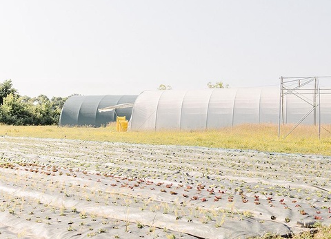 Domaine de L'Oiselière, 4* - 45