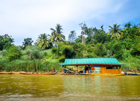 Malaisie en Liberté, Des Terres Sauvages de Taman Negara à l'île de Langkawi 4* - 8