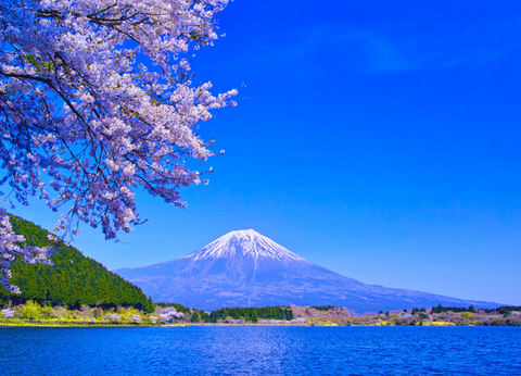 Circuit Merveilles Nippones et Tokyo à sa guise - 14