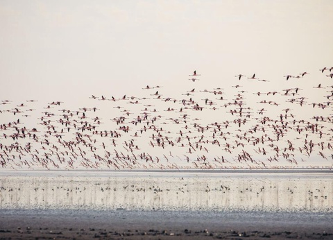 Safari Privatif - Aventure Tanzanienne - 22