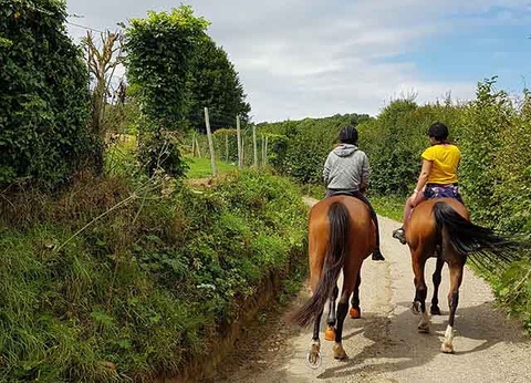 VVF L'Ecrin Normand 3* demi-pension - 2